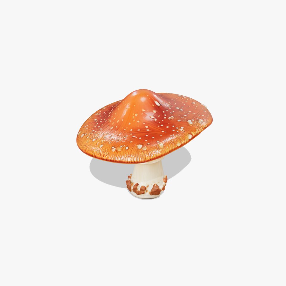 Chanterelle Dewy Mushroom Model Pack